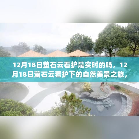 12月18日萤石云看护下的自然美景与内心宁静之旅，实时体验与感悟