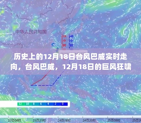 台风巴威，历史12月18日的巨风狂啸与深远影响纪实