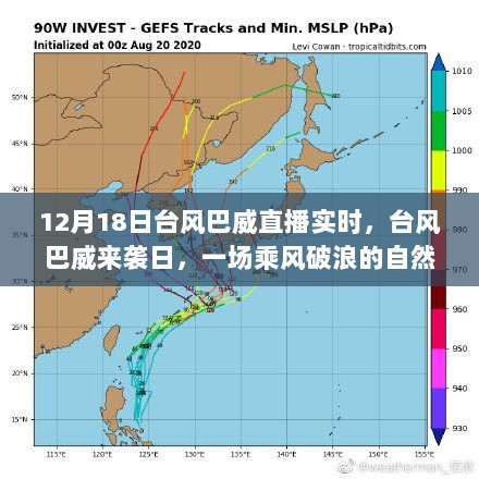 台风巴威来袭日，乘风破浪的自然探索直播纪实