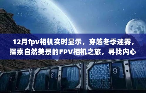 冬季迷雾中的FPV相机之旅，实时探索自然美景，寻找内心的宁静