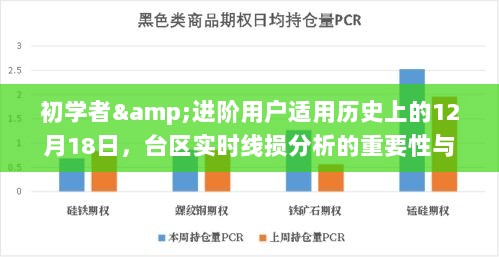 台区实时线损分析的重要性及操作指南，适合初学者与进阶用户的实用指南（12月18日）