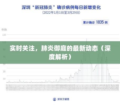 肺炎御庭最新动态实时关注，深度解析报告