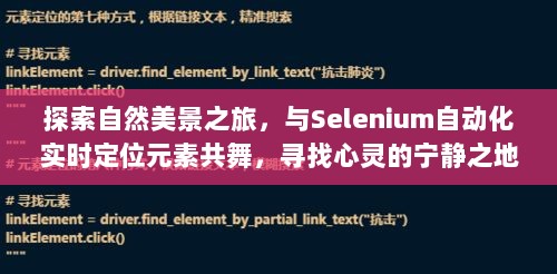 自然探索与Selenium自动化实时定位元素，心灵之旅的宁静之地寻找