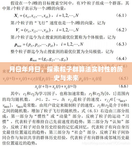 粒子群算法实时性的历史探索与未来展望