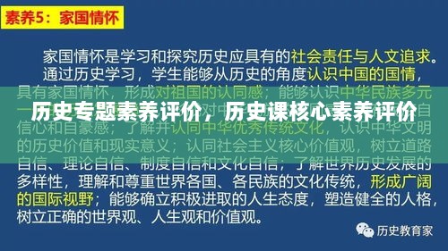 历史专题素养评价，历史课核心素养评价 