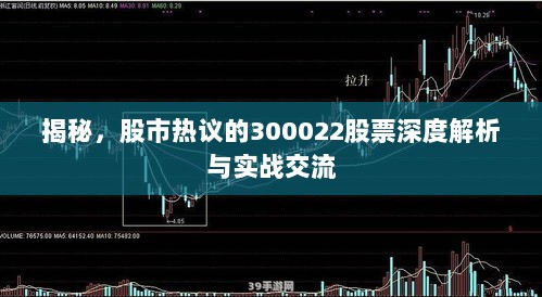 揭秘，股市热议的300022股票深度解析与实战交流