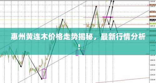 惠州黄连木价格走势揭秘，最新行情分析！