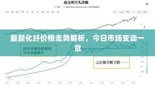 最新化纤价格走势解析，今日市场变动一览