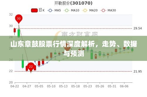 山东章鼓股票行情深度解析，走势、数据与预测