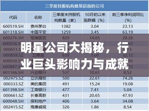 明星公司大揭秘，行业巨头影响力与成就排行榜