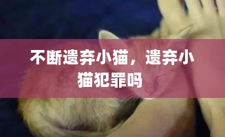 不断遗弃小猫，遗弃小猫犯罪吗 