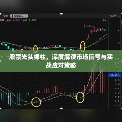 股票光头绿柱，深度解读市场信号与实战应对策略