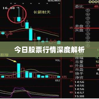 今日股票行情深度解析