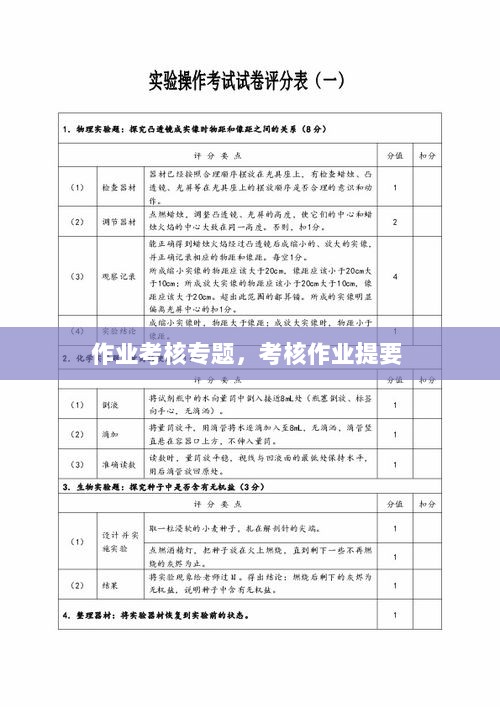 作业考核专题，考核作业提要 