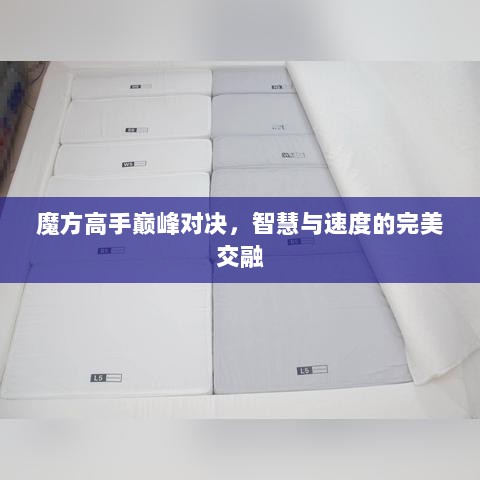 魔方高手巅峰对决，智慧与速度的完美交融