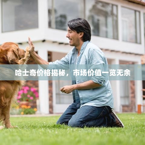 哈士奇价格揭秘，市场价值一览无余