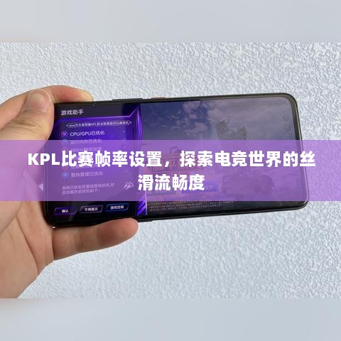 KPL比赛帧率设置，探索电竞世界的丝滑流畅度