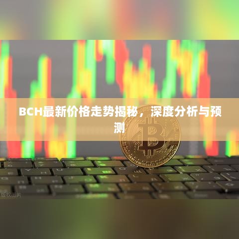 BCH最新价格走势揭秘，深度分析与预测