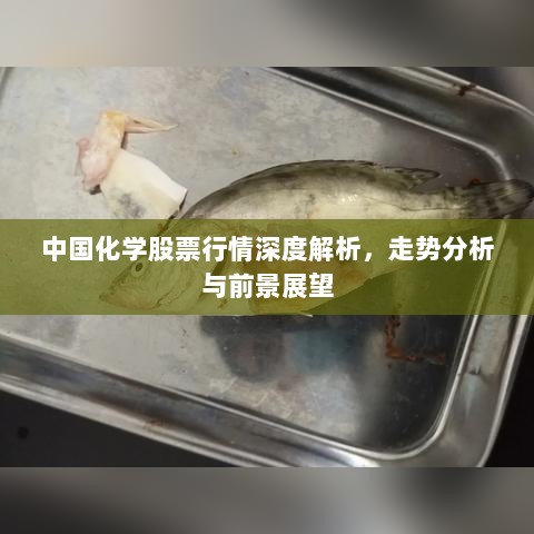 中国化学股票行情深度解析，走势分析与前景展望