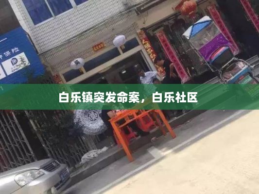 白乐镇突发命案，白乐社区 