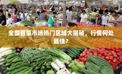 全国苞菜市场热门区域大揭秘，行情何处最佳？