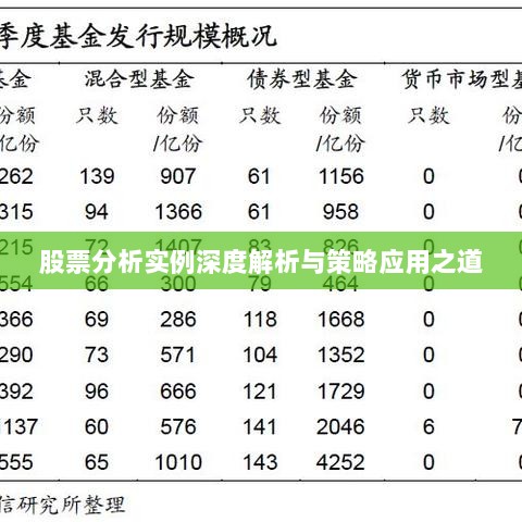 股票分析实例深度解析与策略应用之道