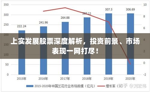 上实发展股票深度解析，投资前景、市场表现一网打尽！