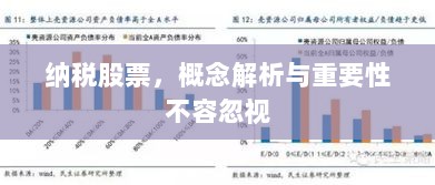 纳税股票，概念解析与重要性不容忽视