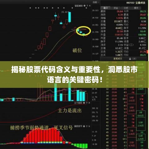 揭秘股票代码含义与重要性，洞悉股市语言的关键密码！