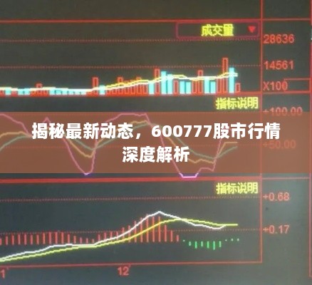 揭秘最新动态，600777股市行情深度解析