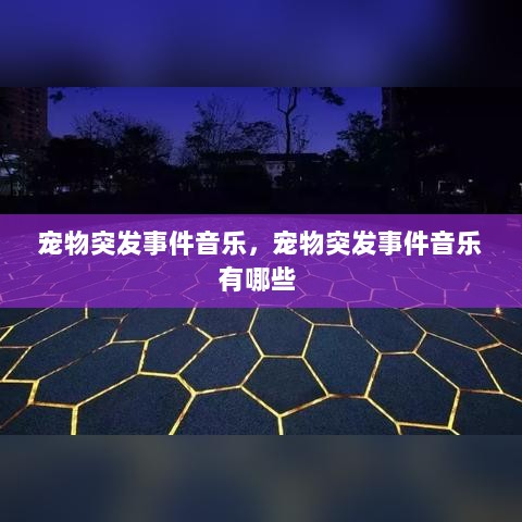 宠物突发事件音乐，宠物突发事件音乐有哪些 