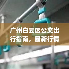 广州白云区公交出行指南，最新行情概览一网打尽