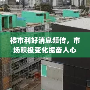 楼市利好消息频传，市场积极变化振奋人心