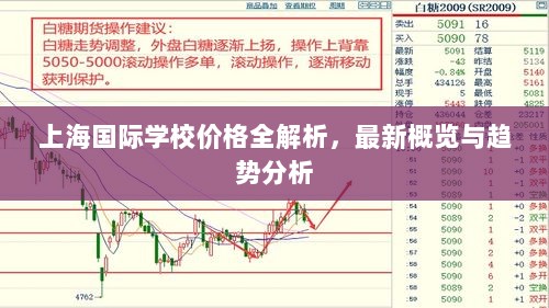 上海国际学校价格全解析，最新概览与趋势分析