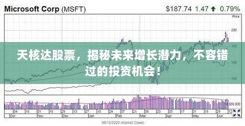 天核达股票，揭秘未来增长潜力，不容错过的投资机会！