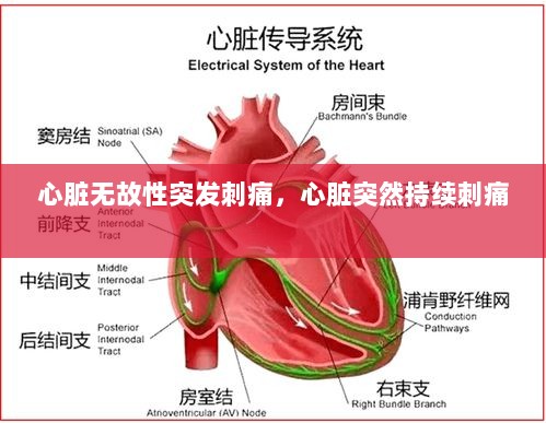 心脏无故性突发刺痛，心脏突然持续刺痛 