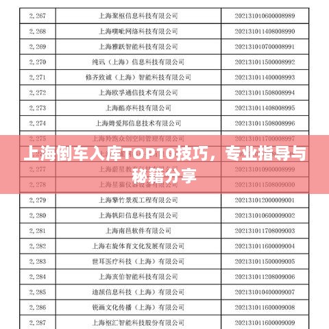 上海倒车入库TOP10技巧，专业指导与秘籍分享