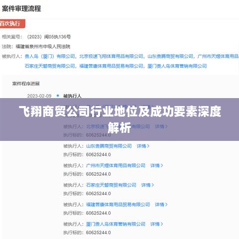 飞翔商贸公司行业地位及成功要素深度解析