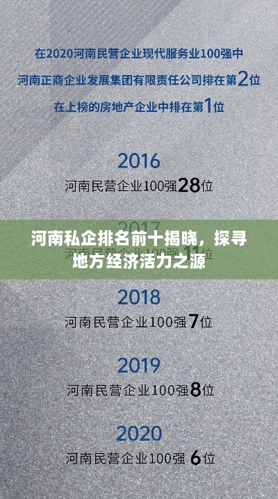 河南私企排名前十揭晓，探寻地方经济活力之源