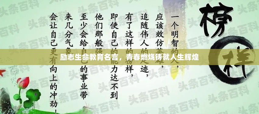 励志生命教育名言，青春燃烧铸就人生辉煌