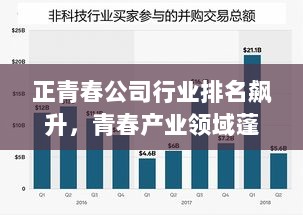 正青春公司行业排名飙升，青春产业领域蓬勃发展揭秘