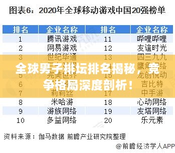 全球男子排坛排名揭秘，竞争格局深度剖析！