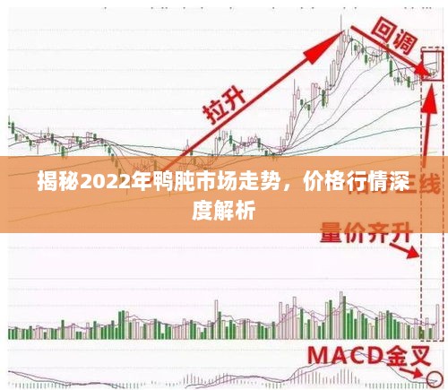 揭秘2022年鸭肫市场走势，价格行情深度解析