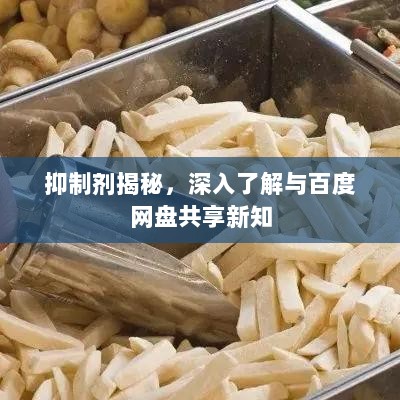 抑制剂揭秘，深入了解与百度网盘共享新知