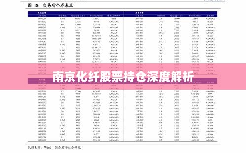 南京化纤股票持仓深度解析