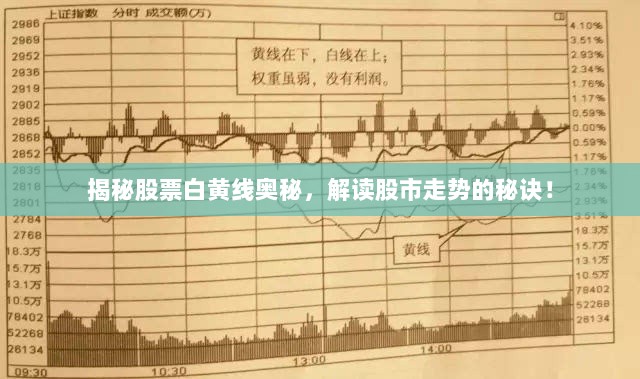 揭秘股票白黄线奥秘，解读股市走势的秘诀！