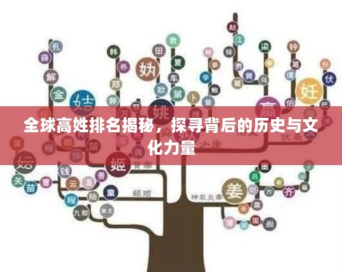 全球高姓排名揭秘，探寻背后的历史与文化力量