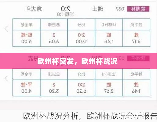 欧州杯突发，欧州杯战况 