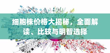 细胞株价格大揭秘，全面解读、比较与明智选择