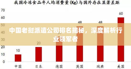 中国老挝派遣公司排名揭秘，深度解析行业领军者